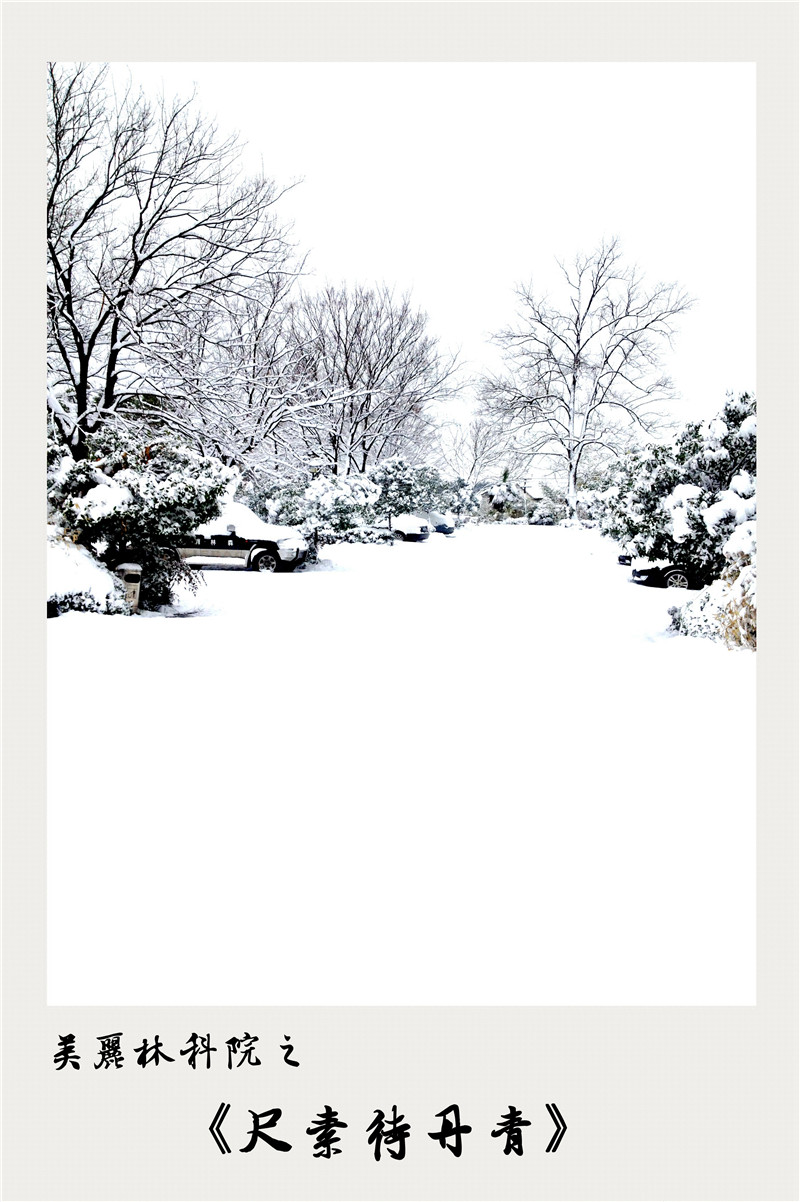 尺素待丹青江苏省林业科学研究院省林科院江苏林科院