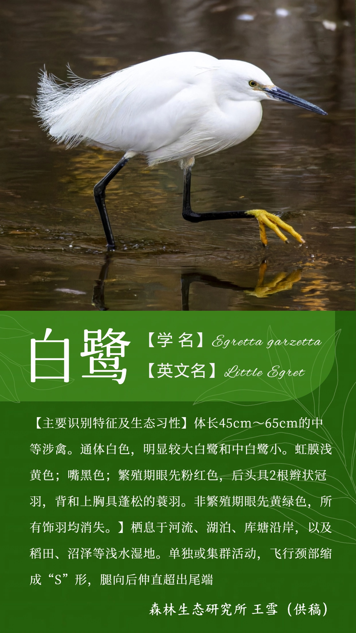 67c955bad545e.jpg