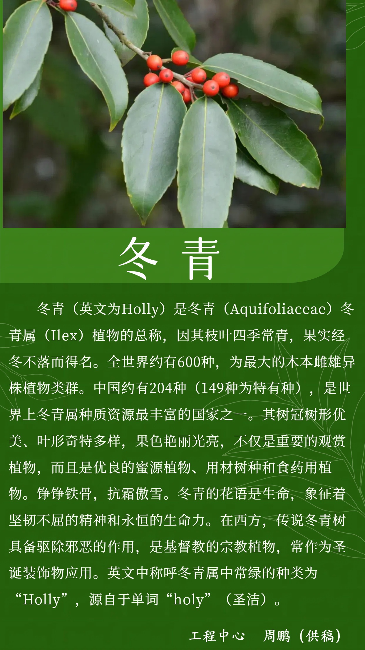 685a51a13a799.jpg