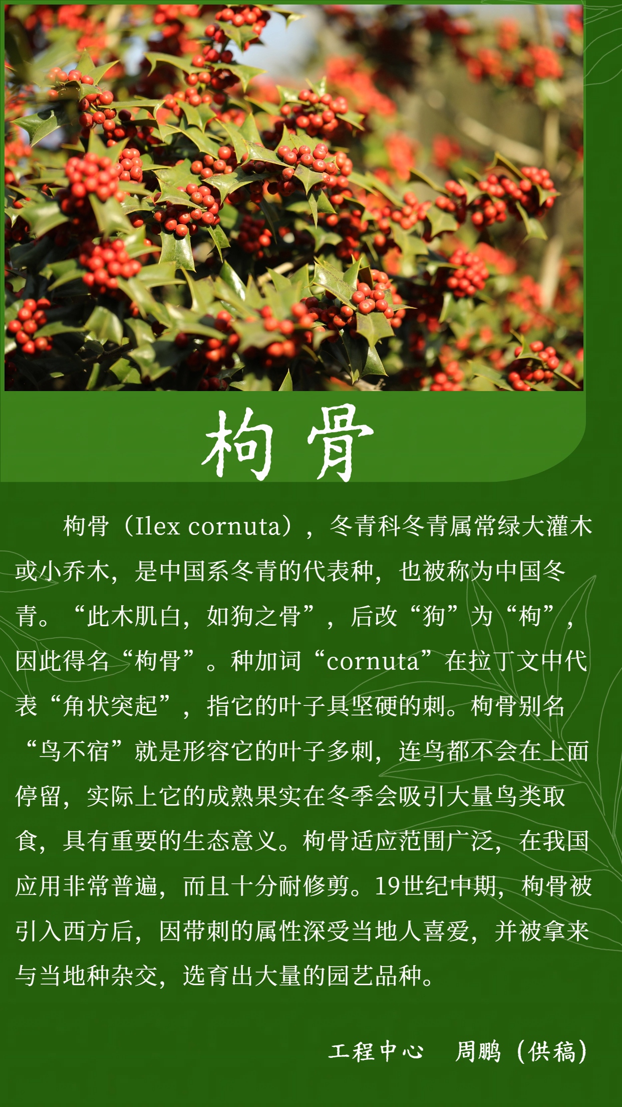 685a566483e4f.jpg